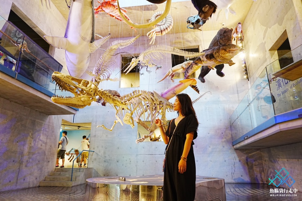 台南親子景點懶人包