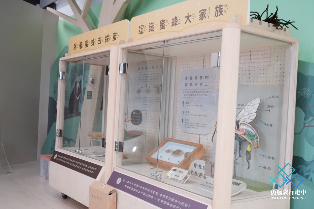 National Museum of Nature and Science