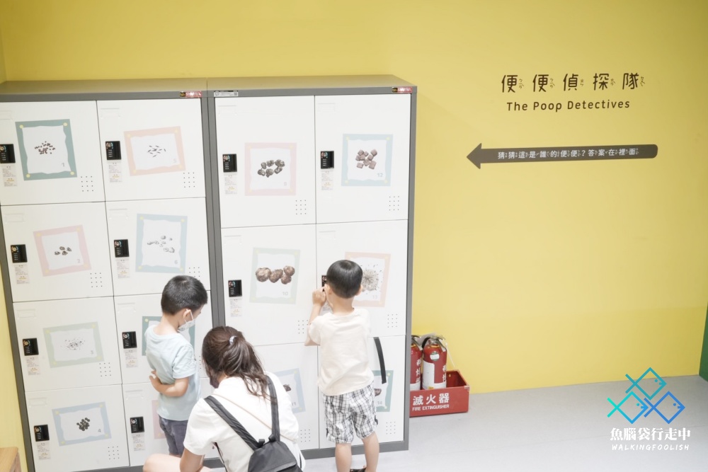 National Museum of Nature and Science