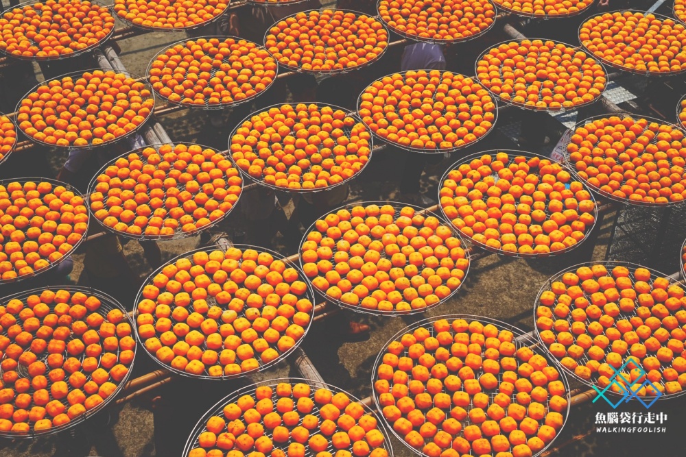 persimmon