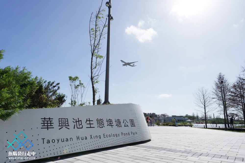 桃園親子景點華興池生態埤塘公園