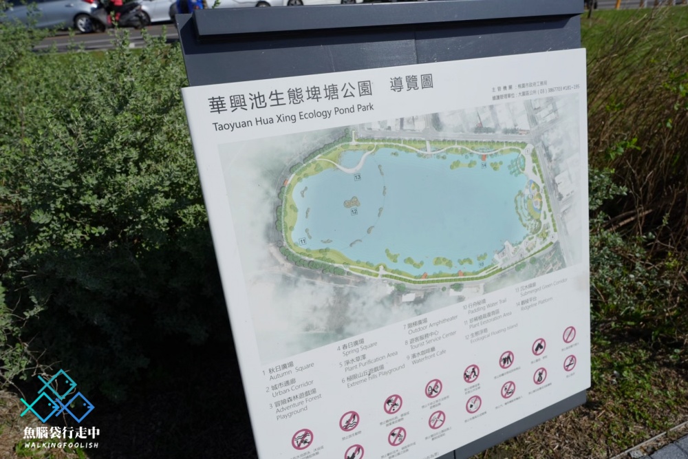 桃園親子景點華興池生態埤塘公園