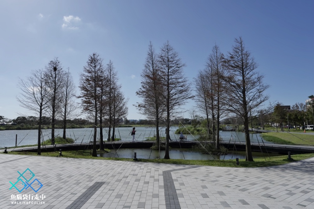 桃園親子景點華興池生態埤塘公園