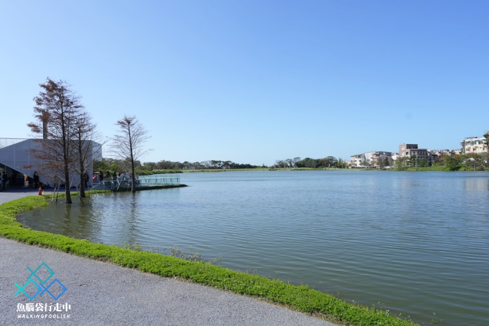 桃園親子景點華興池生態埤塘公園