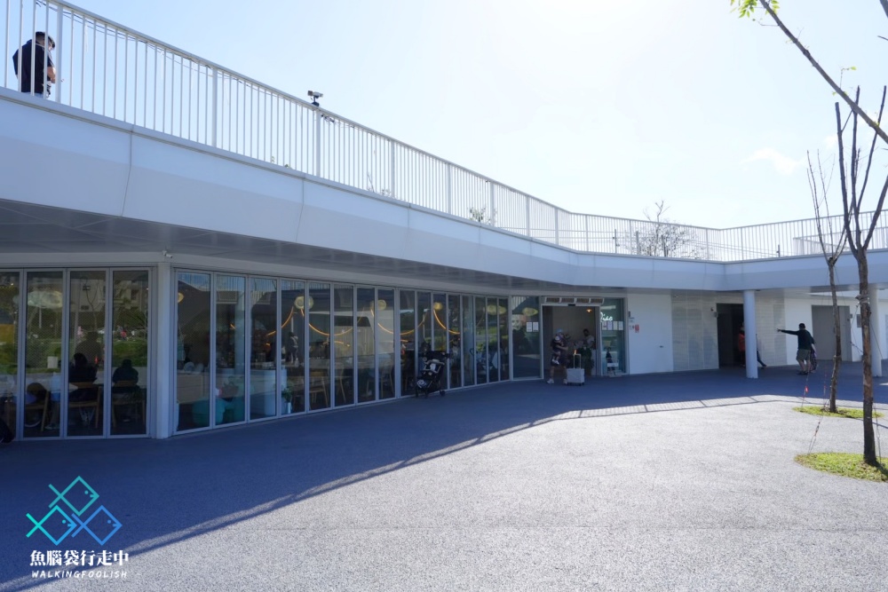 桃園親子景點華興池生態埤塘公園