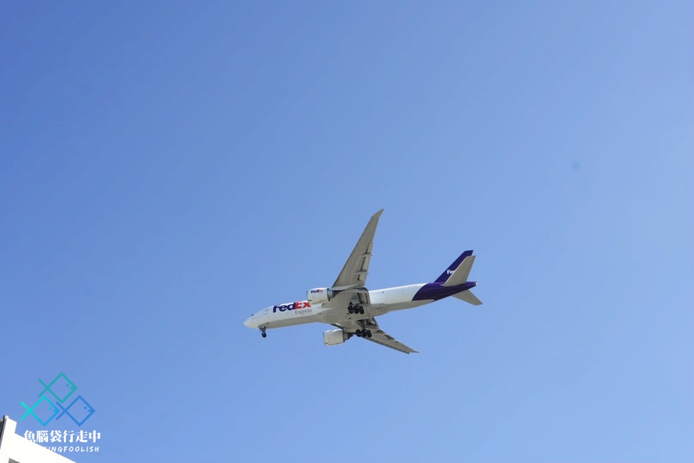 桃園親子景點華興池生態埤塘公園