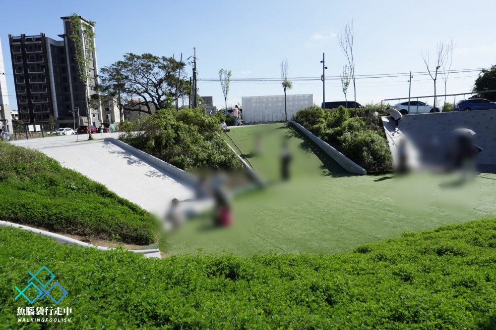 桃園親子景點華興池生態埤塘公園