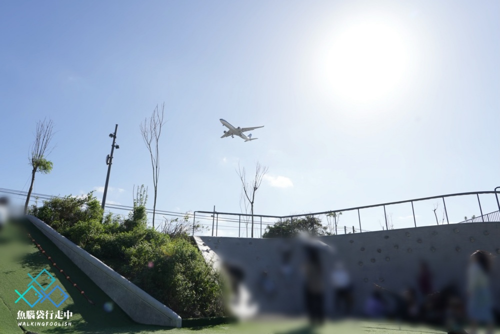 桃園親子景點華興池生態埤塘公園